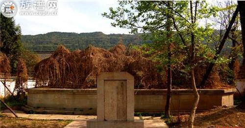 复兴汉室,诸葛亮寻得接班人,却酒后遇刺身亡