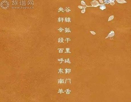 你听过最美的复姓名字是？中国复姓有多少呢?