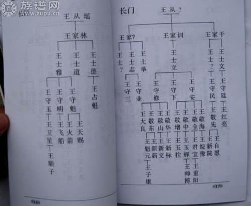 梁启超家谱图图片